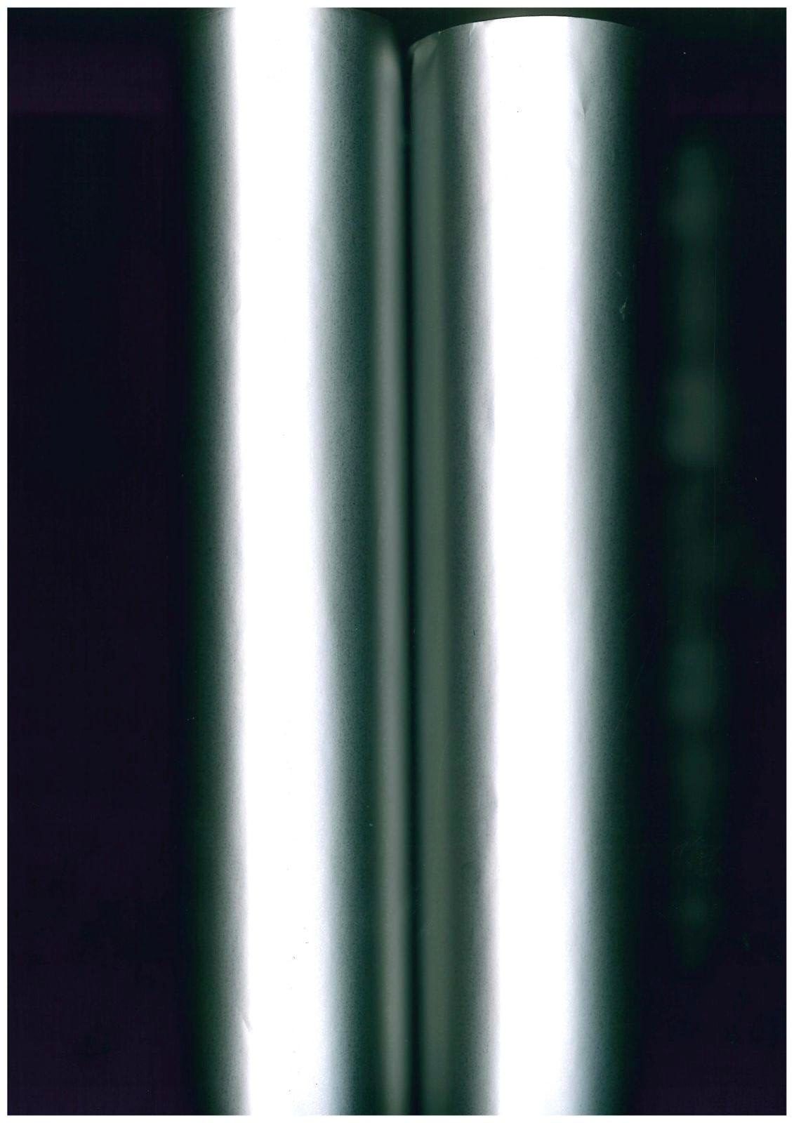 Elena Narbutaitė, Image for an exhibition , 2025. Courtesy of the artist.